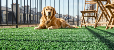 Artificial grass